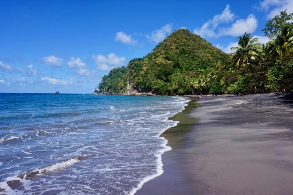 Lodge Colibris: Panoramic Sea and Mountain Views near Caribbean Beach Le Carbet Exterior photo