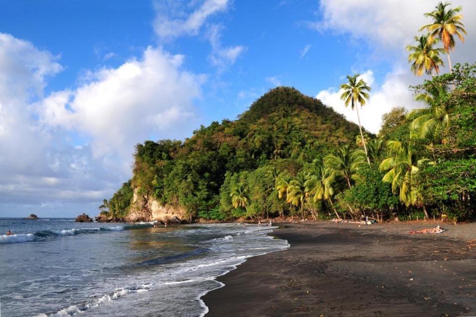 Lodge Colibris: Panoramic Sea and Mountain Views near Caribbean Beach Le Carbet Exterior photo