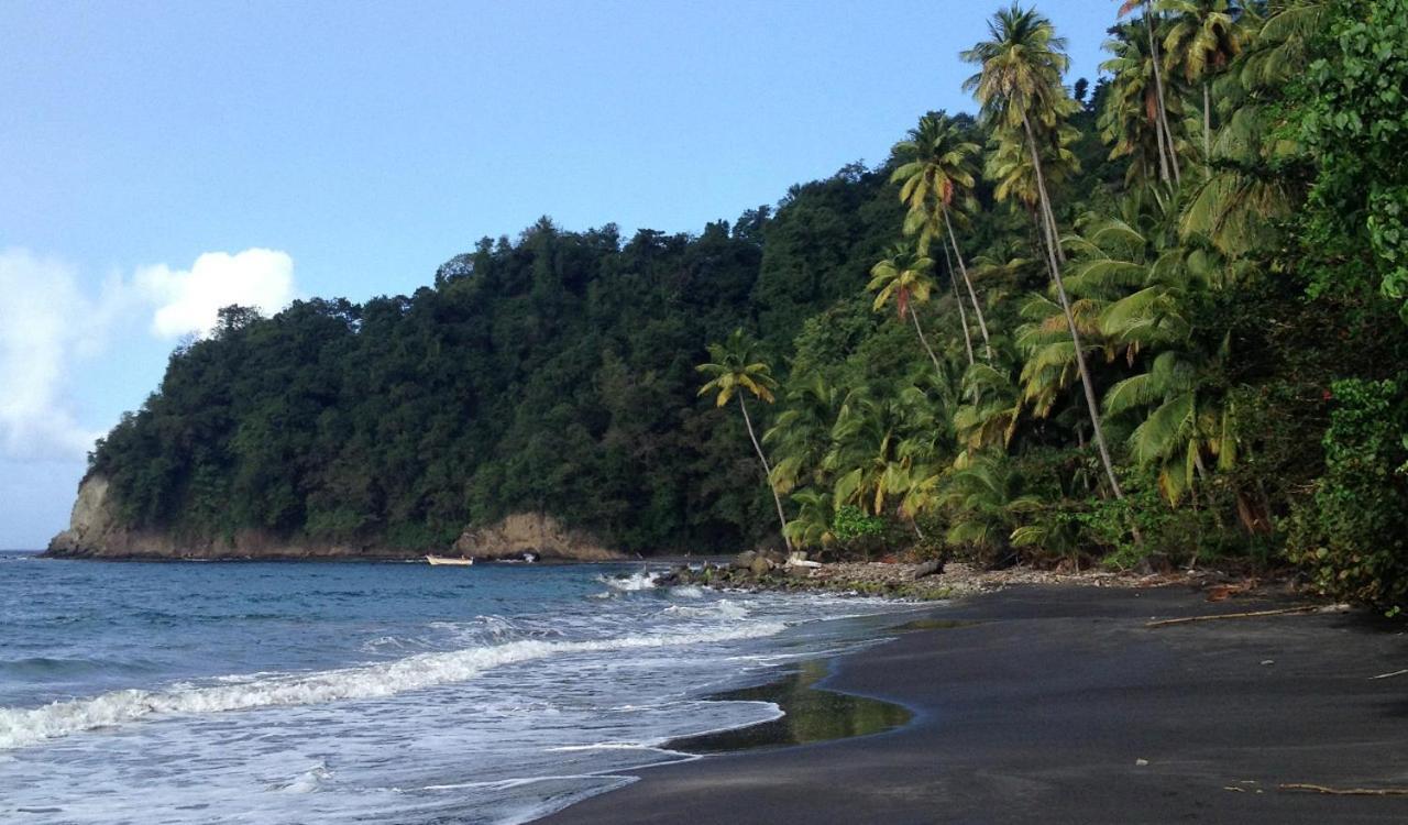 Lodge Colibris: Panoramic Sea and Mountain Views near Caribbean Beach Le Carbet Exterior photo