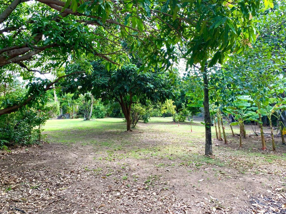 Lodge Colibris: Panoramic Sea and Mountain Views near Caribbean Beach Le Carbet Exterior photo