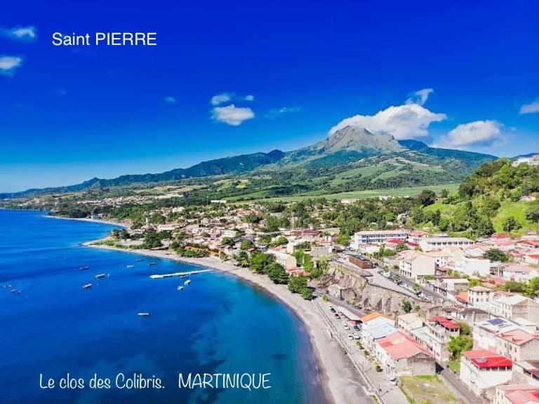 Lodge Colibris: Panoramic Sea and Mountain Views near Caribbean Beach Le Carbet Exterior photo
